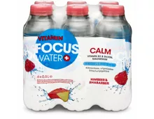 FOCUSWATER Calm Rhabarber 6x50cl