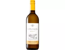 Fontalta Bianco Terre Siciliane IGT