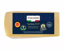 Fontina Käse DOP