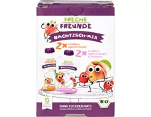 Freche Freunde Bio-Nachtisch-Mix