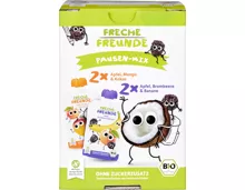 Freche Freunde Bio-Pausen-Mix