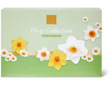 Frey Pralinés Collection, UTZ