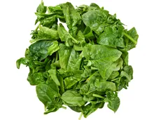 Frischer Spinat