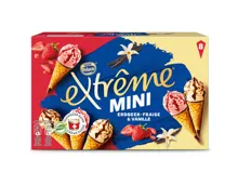Frisco Extrême Cornets Vanille & Erdbeer Mini 8 Stück