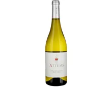 Friuli DOC Pinot Grigio Attems (2024) – Weisswein, Italien (0.75l)