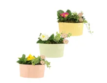 Frühlingsarrangement