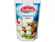 Galbani Mozzarella Mini, 2 x 150 g, Duo