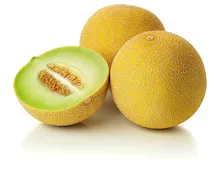 Galia-Melonen