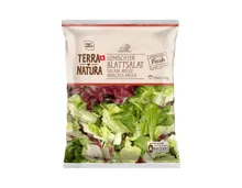 Gemischter Blattsalat