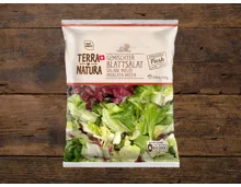 Gemischter Blattsalat