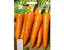 Gemüsesamen Karotte Rote Riesen