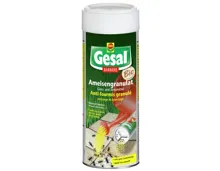 Gesal Ameisengranulat Barriere