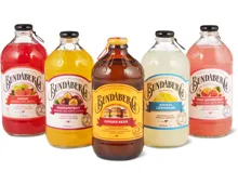 Gesamtes Bundaberg Sortiment