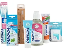 Gesamtes Candida Sortiment
