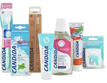 Gesamtes Candida Sortiment