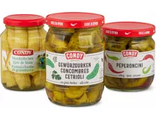 Gesamtes Condy-Essiggemüse und -Antipasti-Sortiment