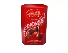 Gesamtes Lindt-Sortiment