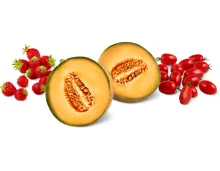 Gesamtes Sélection Früchte- und -Gemüse-Sortiment