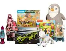 Gesamtes Spielwaren-Sortiment