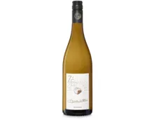 Gewürztraminer Baron de Hoen Zéro, alkoholfrei, Frankreich (0.75l)