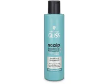 Gliss Scalp Balance Sanftes Shampoo
