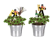 Glücksklee im Sektkübel