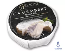 GOURMET Büffel-Camembert