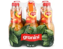 Granini Pfirsich 6x1l