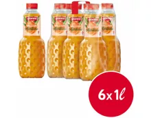 Granini Walliser Aprikose 6x1l