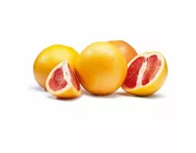 Grapefruits rot, Spanien, Packung à 1,5 kg