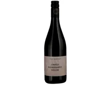 Graubünden AOC Jeninser Pinot Noir Jürg Obrecht (2022) – Rotwein, Schweiz (0.75l)