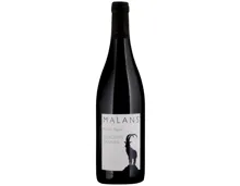 Graubünden AOC Malans Pinot Noir Bündner Banner (2024) – Rotwein, Schweiz (0.75l)