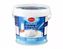 Griechischer Joghurt