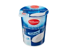 Griechischer Joghurt Griechischer Joghurt