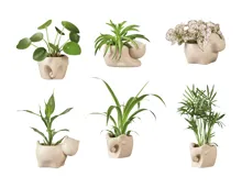 Grün-Mix in Design Tier Keramik