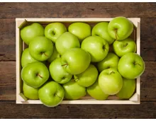 Grüne Äpfel (Aktion nur im Tessin gültig)