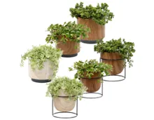 Grünpflanze in Holzkeramik mini
