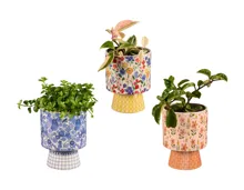 Grünpflanzen in Floral-Keramik