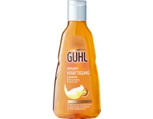 Guhl Biershampoo Intensiv-Kräftigung