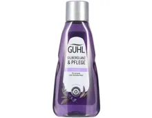 Guhl silberglanz & Pflege Shampoo
