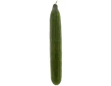 Gurke 1 Stück