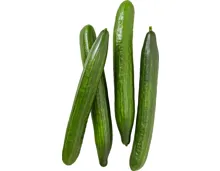 Gurke