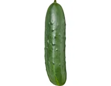 Gurken Nostrano