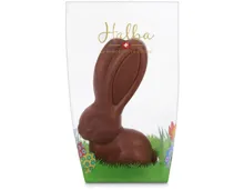 Halba Hase mit langen Ohren