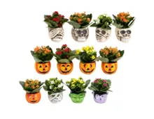 Halloween Arrangement