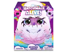 Hatchimals Egg Mystery Hatch Pufficorn