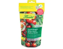 Hauertkugel Tomaten 40 Stück