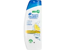 Head & Shoulders Antischuppen-Shampoo
