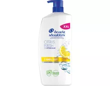 Head & Shoulders Antischuppen-Shampoo Citrus Fresh