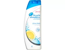 Head & Shoulders Antischuppen-Shampoo Citrus Fresh